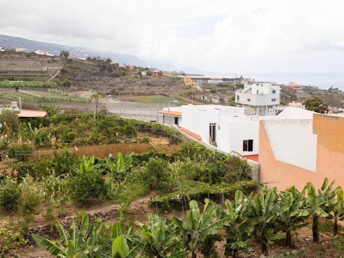 Live Icod Buen Paso Apartment Icod De Los Vinos Exterior photo